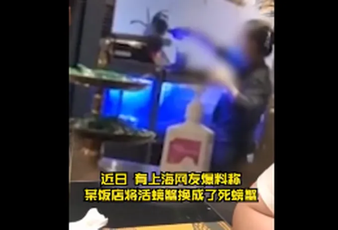 上海知名餐厅被曝用死蟹换活蟹，涉事饭店回应了