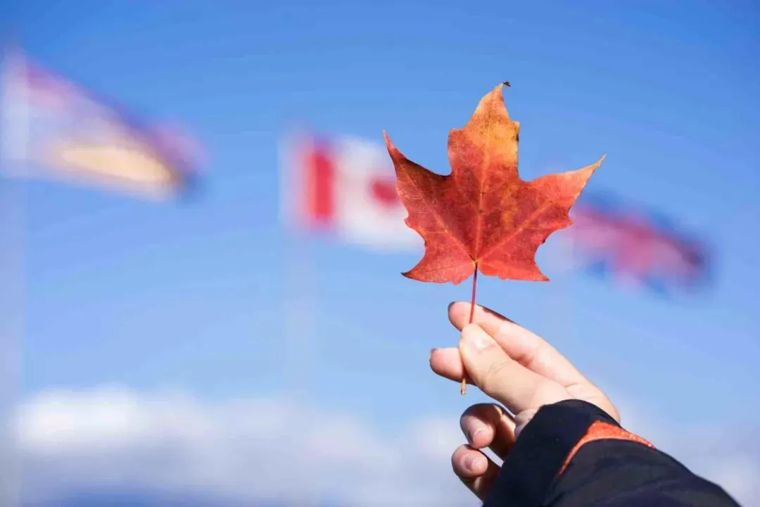 加拿大移民pr是什么意思 | 加拿大
