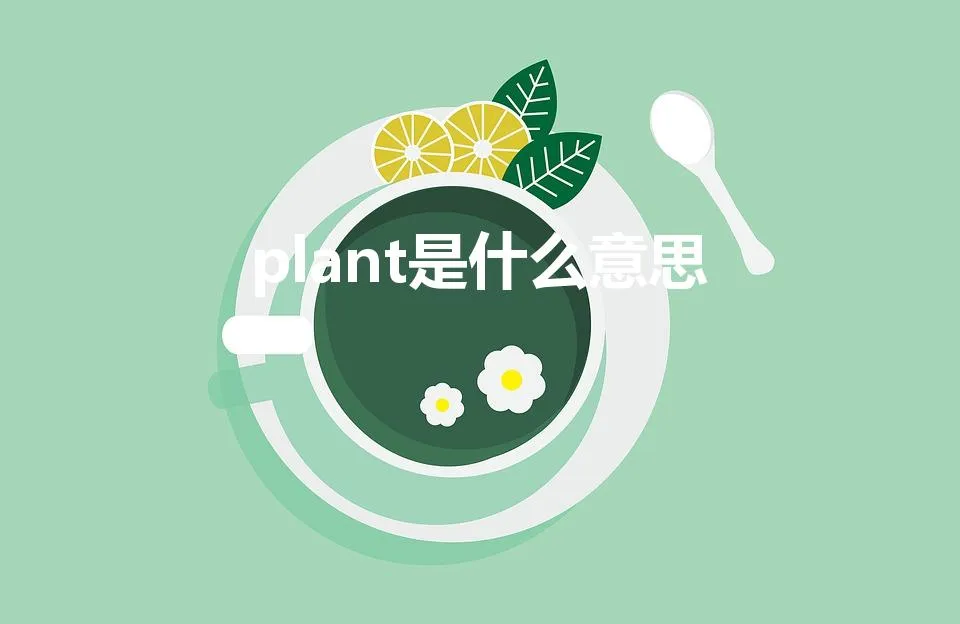 plant是什么意思 | 英文plant的中文翻译